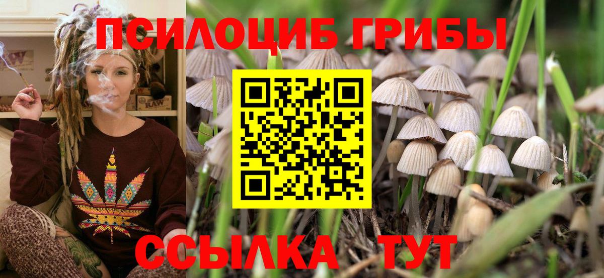 Галлюциногенные грибы ЛСД Кимры