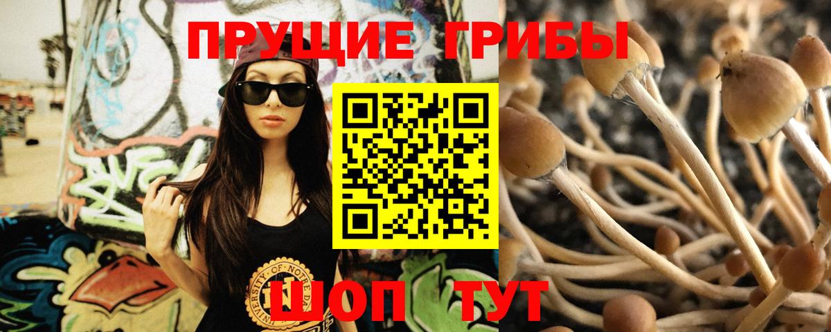 наркотики  Псилоцибиновые грибы Psilocybine cubensis  Вход с VPN  Галлюциногенные грибы мухоморы  Кимры 